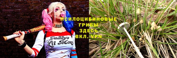 круглые Козельск