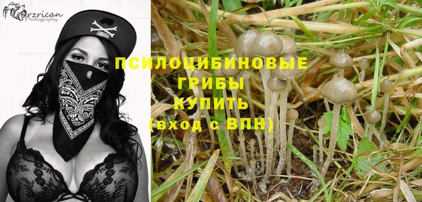 эйфоретик Кодинск