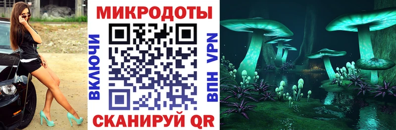 Псилоцибиновые грибы мицелий  где можно купить наркотик  Шарыпово 